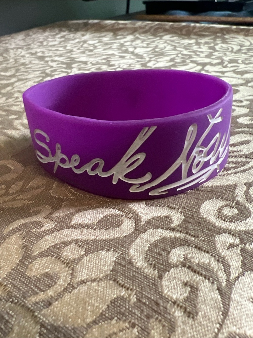 Taylor Swift Speak Now Silicone Wristband 2011 Concert Tour Bracelet